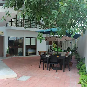 Opis Haus , Playa del Carmen Mexico